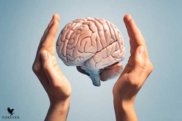 پیشگیری و درمان آلزایمر