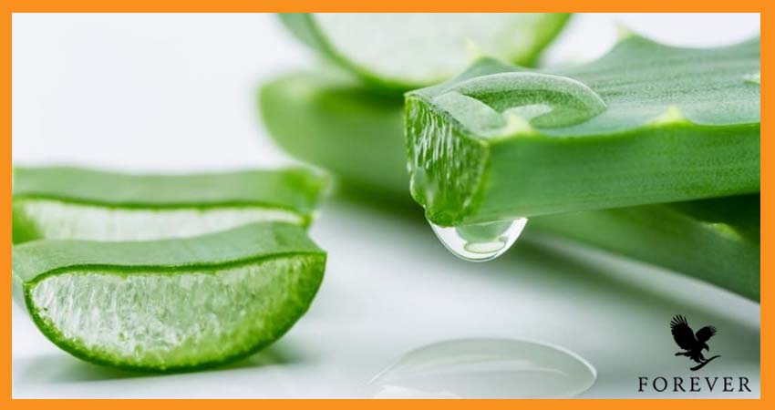 ماسکهای خانگی آلوئه ورا برای درمان جای جوش