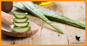 خواص آلوئه‌ورا برای مو