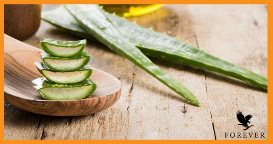 خواص آلوئهورا برای مو