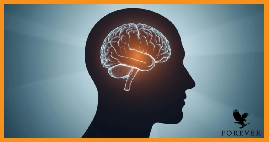 عوارض فلوراید بر مغز